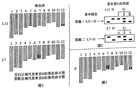 QQ截图20210713143938.png