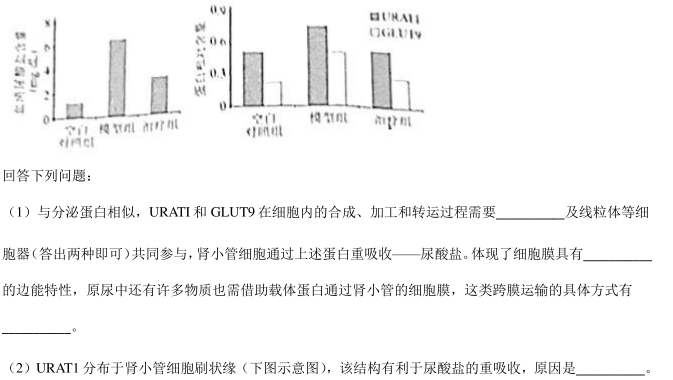 QQ截图20210713153853.png