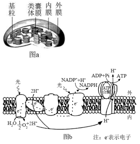 QQ截图20210713165115.png