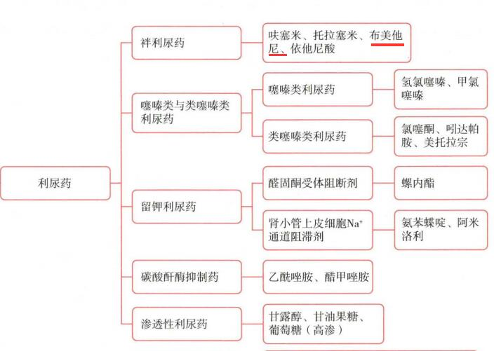 西药学专业二,历年真题,2021年执业药师考试《药学专业知识二》真题