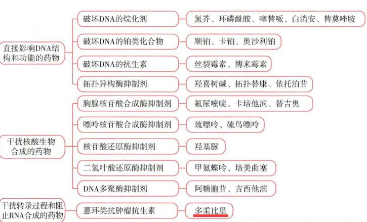 西药学专业二,历年真题,2021年执业药师考试《药学专业知识二》真题