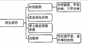 西药学专业二,章节练习,西药学专业（二）