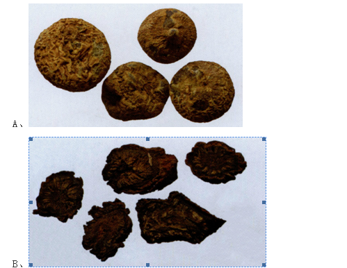 中药学专业一,高分通关卷,2021年执业药师考试《中药学专业知识一》高分通关卷4