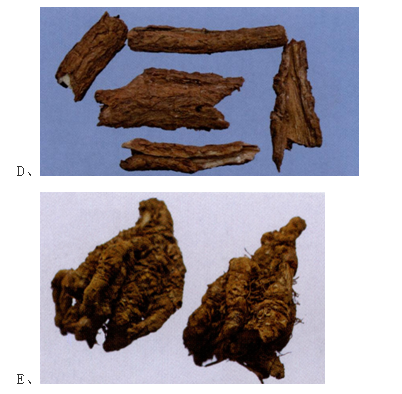 中药学专业一,高分通关卷,2021年执业药师考试《中药学专业知识一》高分通关卷4