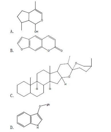 中药学专业一,高分通关卷,2021年执业药师考试《中药学专业知识一》高分通关卷3