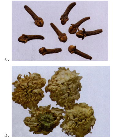 中药学专业一,高分通关卷,2021年执业药师考试《中药学专业知识一》高分通关卷3