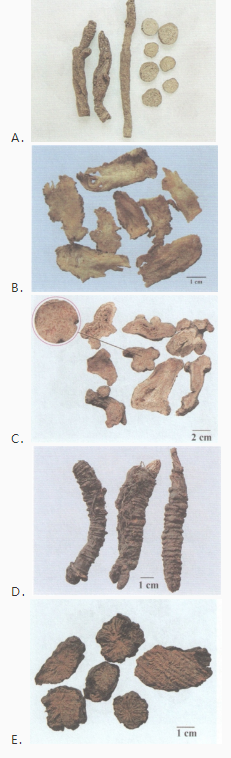 中药学专业一,章节练习,基础复习,常用中药的鉴别