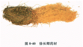 中药学专业一,章节练习,基础复习,常用中药的鉴别
