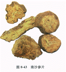 中药学专业一,章节练习,基础复习,常用中药的鉴别