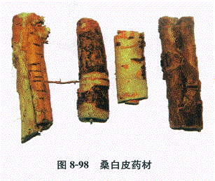 中药学专业一,章节练习,基础复习,常用中药的鉴别