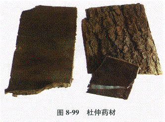 中药学专业一,章节练习,基础复习,常用中药的鉴别