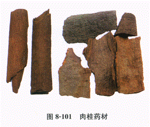 中药学专业一,章节练习,基础复习,常用中药的鉴别
