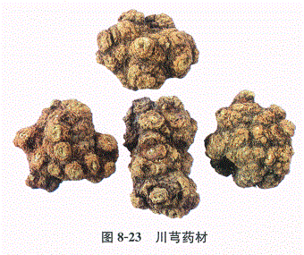 中药学专业一,章节练习,基础复习,常用中药的鉴别