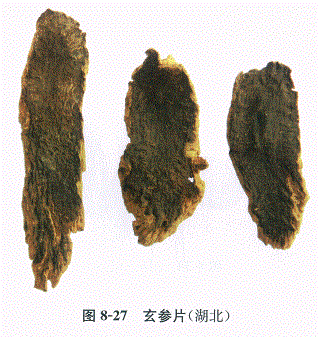 中药学专业一,章节练习,基础复习,常用中药的鉴别