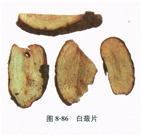 中药学专业一,章节练习,基础复习,常用中药的鉴别