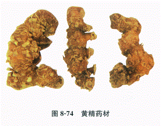 中药学专业一,章节练习,基础复习,常用中药的鉴别