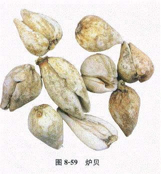 中药学专业一,章节练习,基础复习,常用中药的鉴别