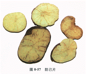 中药学专业一,章节练习,基础复习,常用中药的鉴别
