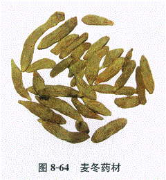 中药学专业一,章节练习,基础复习,常用中药的鉴别