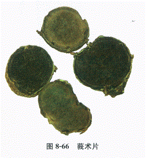 中药学专业一,章节练习,基础复习,常用中药的鉴别