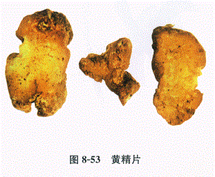 中药学专业一,章节练习,基础复习,常用中药的鉴别