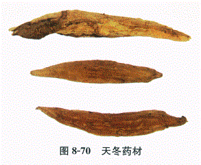 中药学专业一,章节练习,基础复习,常用中药的鉴别