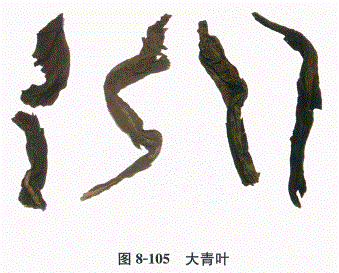 中药学专业一,章节练习,基础复习,常用中药的鉴别