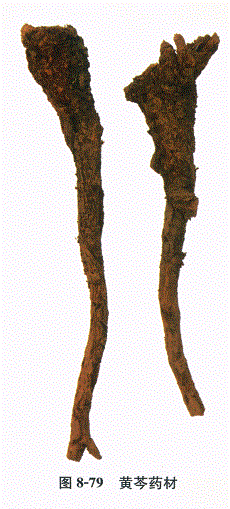 中药学专业一,章节练习,基础复习,常用中药的鉴别