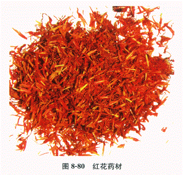 中药学专业一,章节练习,基础复习,常用中药的鉴别