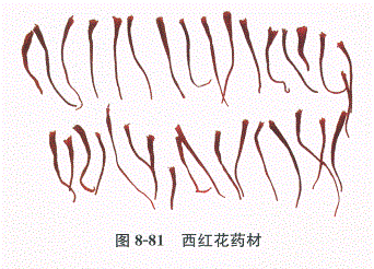 中药学专业一,章节练习,基础复习,常用中药的鉴别