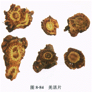 中药学专业一,章节练习,基础复习,常用中药的鉴别