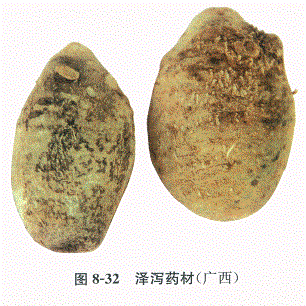 中药学专业一,章节练习,基础复习,常用中药的鉴别