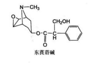 中药学专业一,章节练习,基础复习,中药化学成分与药理作用