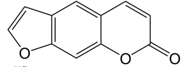 中药学专业一,章节练习,中药学专业一真题