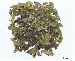 中药学专业一,章节练习,基础复习,真题章节练习