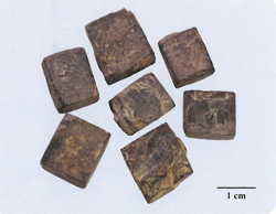 中药学专业一,章节练习,基础复习,真题章节练习