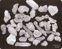 中药学专业一,章节练习,基础复习,真题章节练习