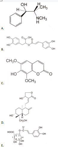 中药学专业一,章节练习,基础复习,真题章节练习 中药学专业一,章节练习,基础复习,真题章节练习