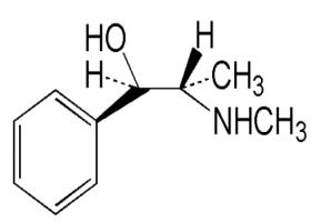 中药学专业一,章节练习,基础复习,真题章节练习
