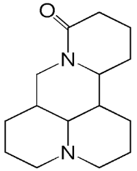 中药学专业一,章节练习,基础复习,真题章节练习