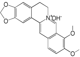 中药学专业一,章节练习,基础复习,真题章节练习