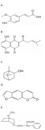 中药学专业一,章节练习,基础复习,真题章节练习 中药学专业一,章节练习,基础复习,真题章节练习