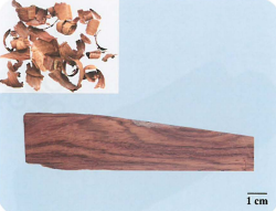 中药学专业一,章节练习,基础复习,真题章节练习