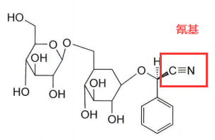 中药学专业一,章节练习,基础复习,真题章节练习