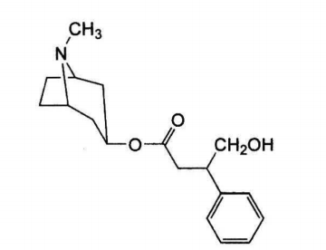 中药学专业一,章节练习,基础复习,真题章节练习