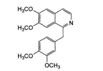 中药学专业一,章节练习,基础复习,真题章节练习