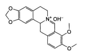 中药学专业一,章节练习,基础复习,真题章节练习