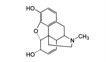 中药学专业一,章节练习,基础复习,真题章节练习
