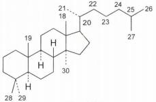 中药学专业一,章节练习,中药学专业一预测