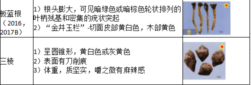 中药学专业一,章节练习,基础复习,真题练习